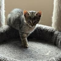 Photo of Zach   Meet Me At Petstock Hastings