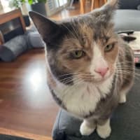 Photo of Mixie