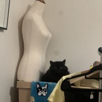 Photo of Elvira