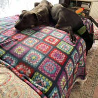 Photo of Bonnie