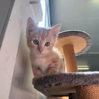 Photo of Dj Happy Paws