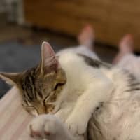 Photo of Louie 