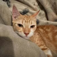 Photo of Ember