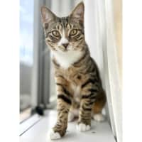 Photo of 12316   Reefa