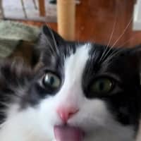 Photo of Evan