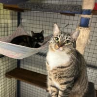 Photo of Prue & Trude