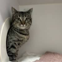 Photo of Gabriella