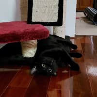 Photo of Salem