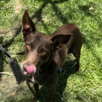 Photo of Chloe