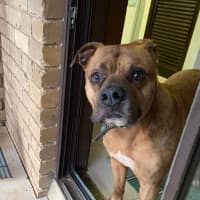 Photo of Wally