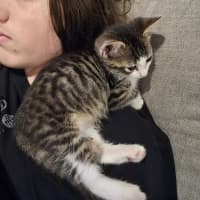 Photo of Mini Miranda
