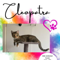 Photo of Cleopatra