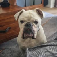 Photo of Stormin Normin