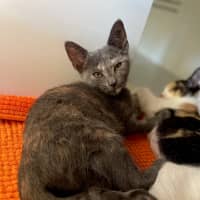 Photo of Monte Carlo