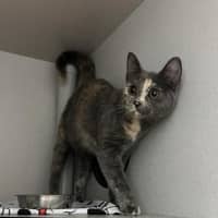 Photo of Storm