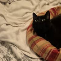 Photo of Mitzy Quinnell