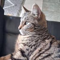 Photo of Titch