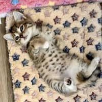 Photo of Hazel
