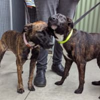 Photo of Winter & Baxter