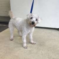 Photo of Miss Bickie