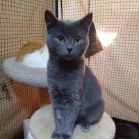 Photo of Pepper