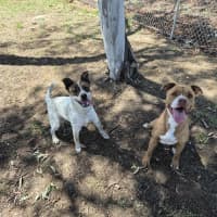 Photo of Skylar! 🌈