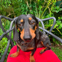 Photo of Hugo