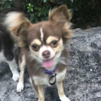 Photo of Bobbie