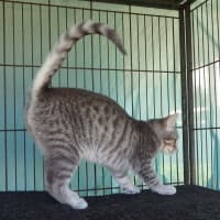 Photo of Brooke And Bruce