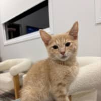 Photo of Tom
