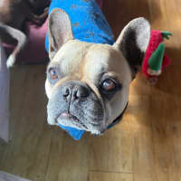 Photo of Gus
