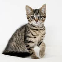 Photo of Milly