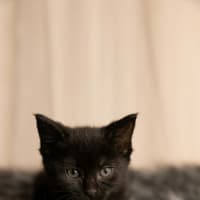 Photo of Zuzu