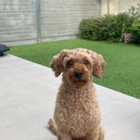 Photo of Lovely Murphy 