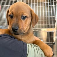 Photo of Ernie