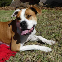 Photo of Yoko Newhaven