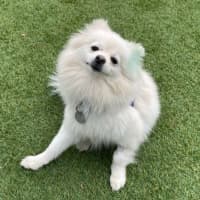 Photo of Snowy