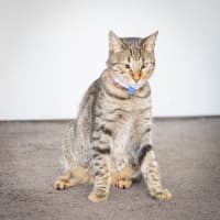Photo of Tiggy