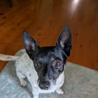 Photo of Abbie