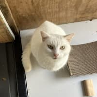Photo of Max