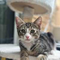 Photo of Spud