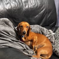 Photo of Evie And Ella