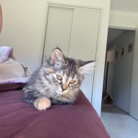 Photo of Rhea