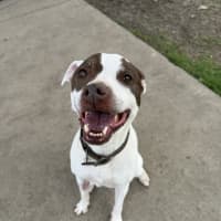 Photo of Xena 