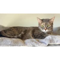 Photo of 9657   Moon