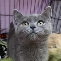 Photo of Isla