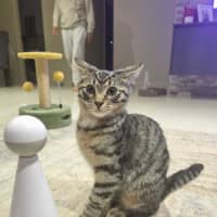 Photo of Axel And Aria