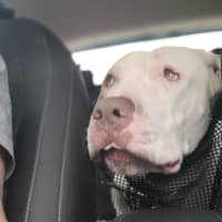 Photo of Mackalicious