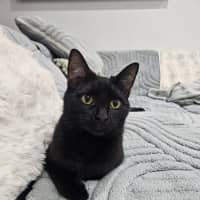 Photo of Bell