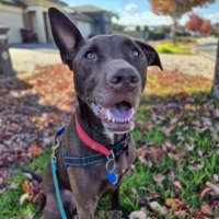 Photo of Apollo